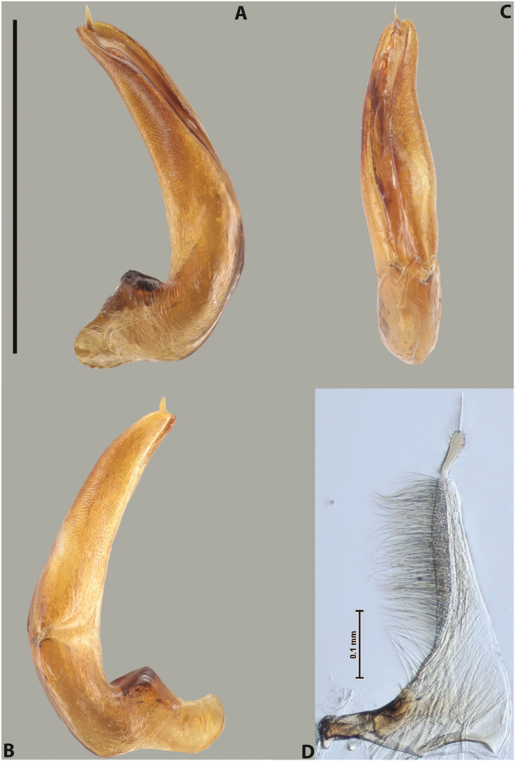Figure 76