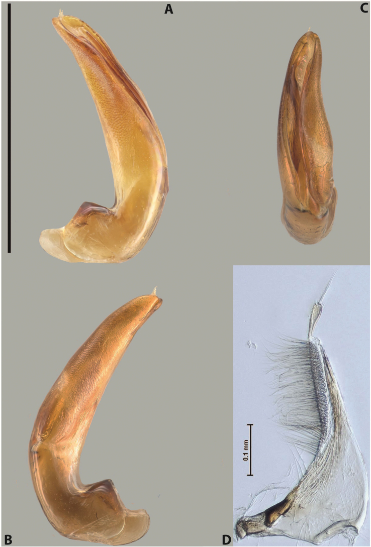 Figure 77
