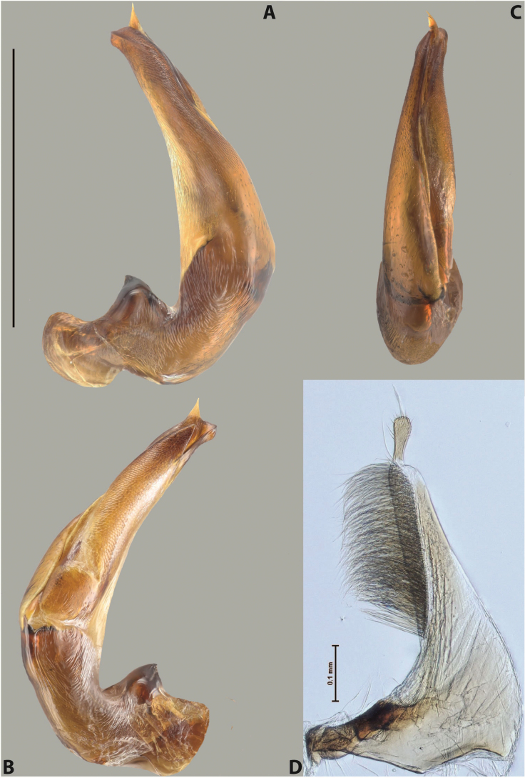 Figure 78