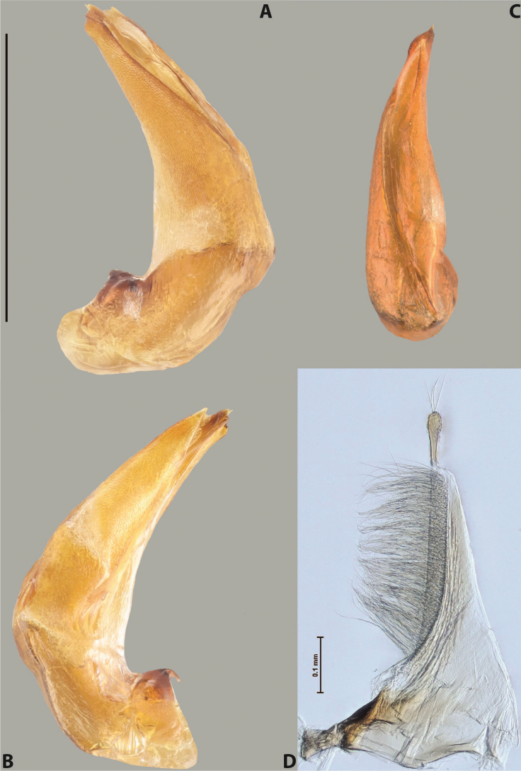 Figure 79