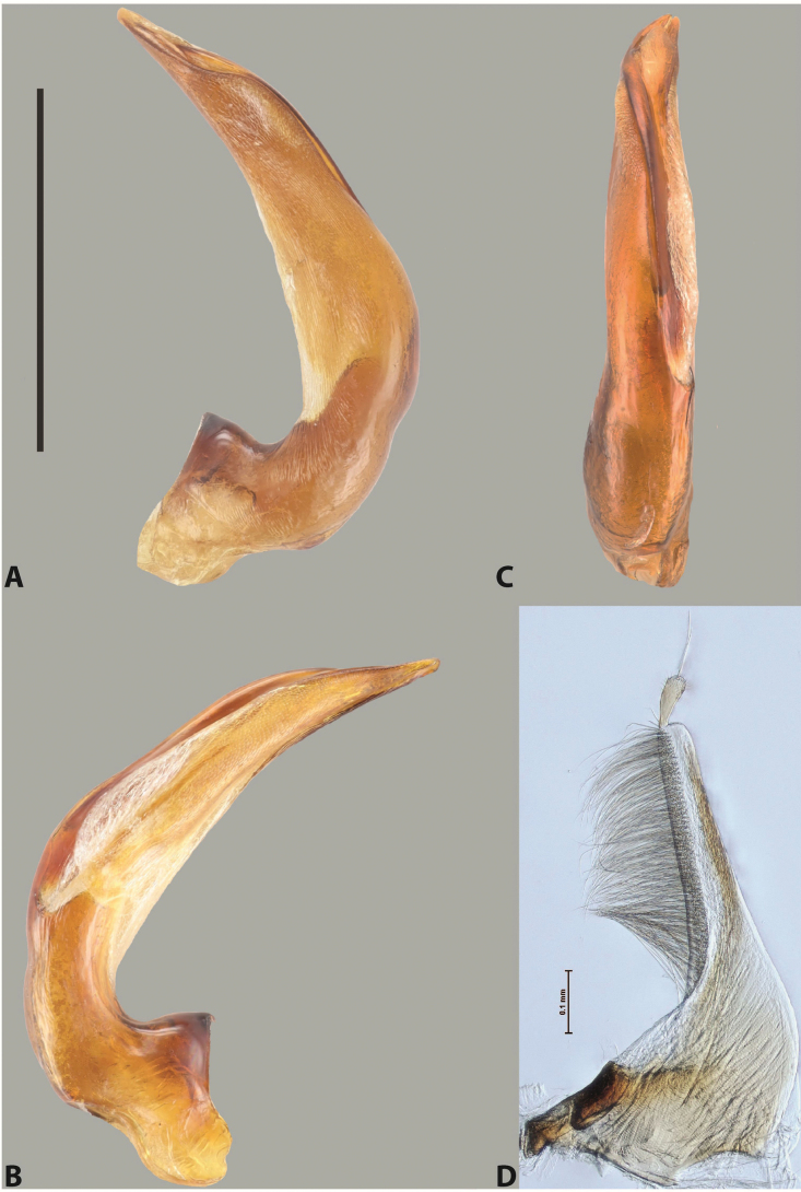 Figure 80