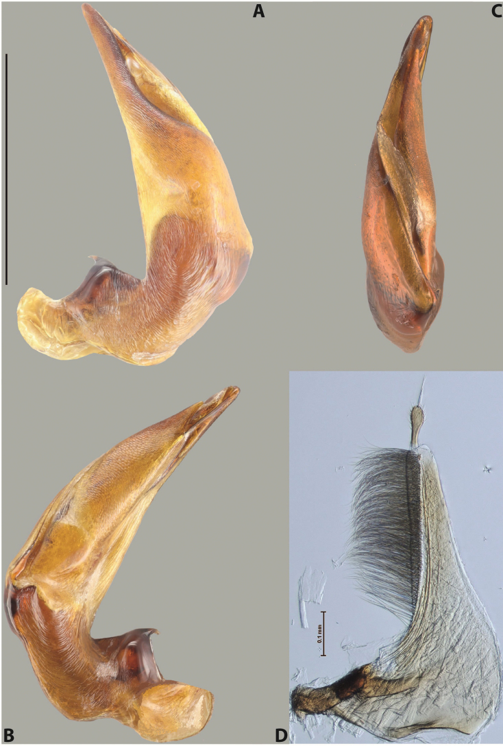 Figure 83