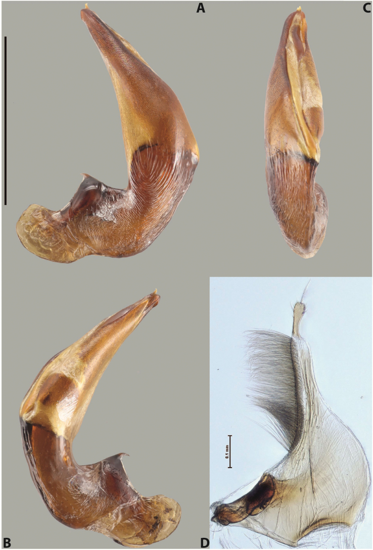 Figure 87
