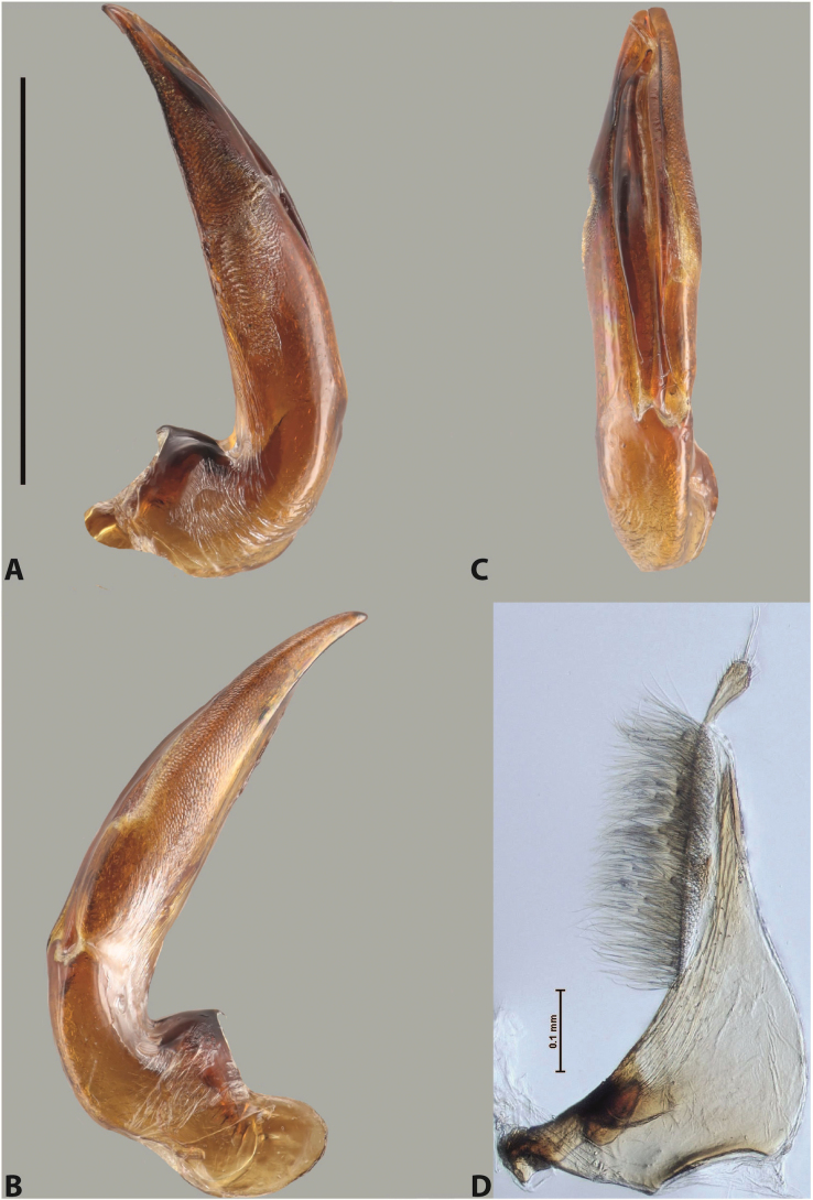 Figure 91