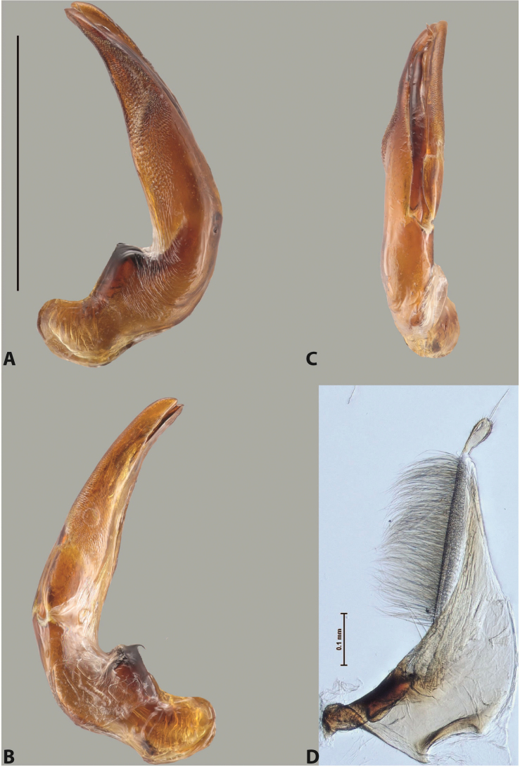 Figure 92