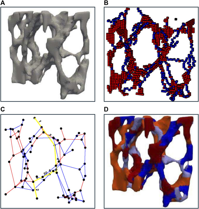 FIGURE 2