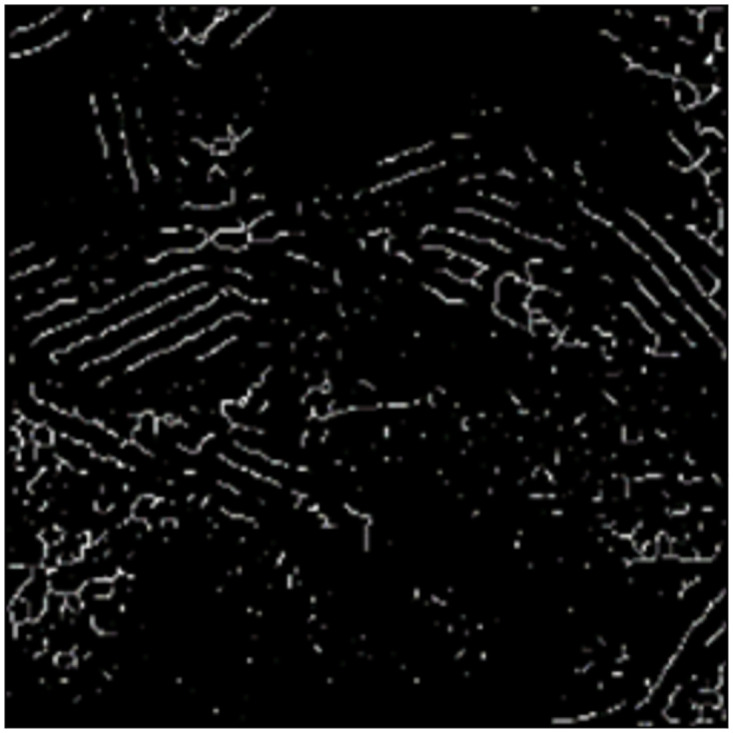 Fig 5