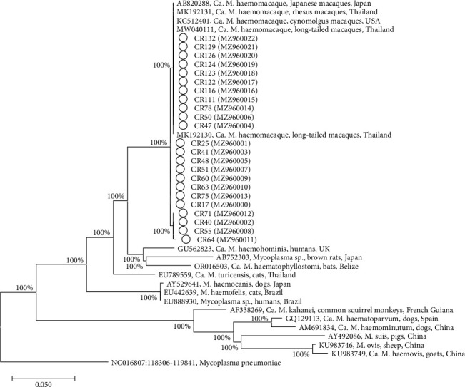 Figure 2