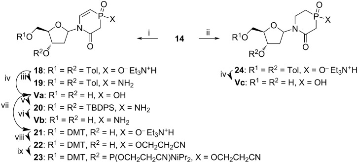 Scheme 3