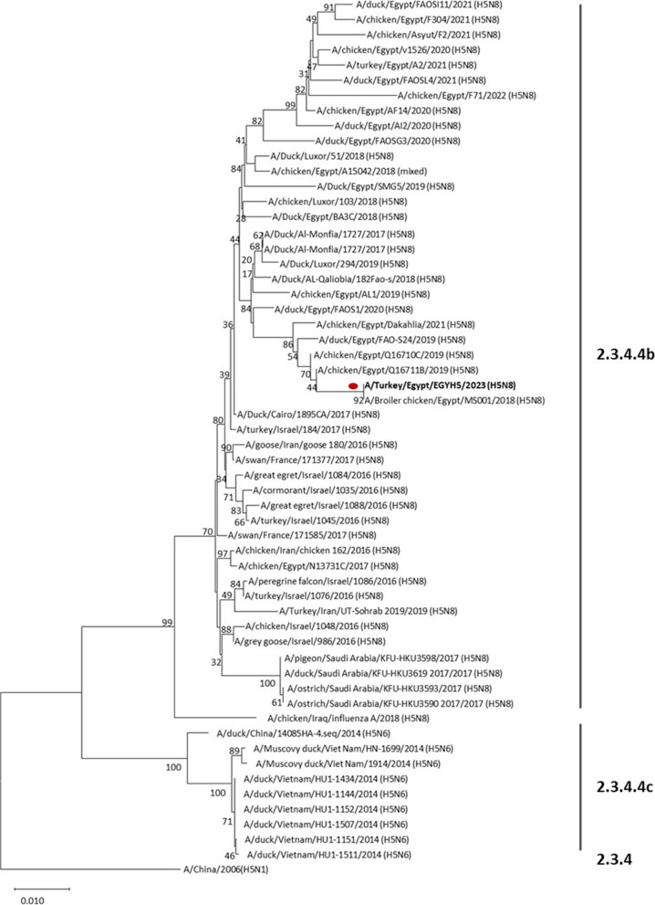 Figure 4