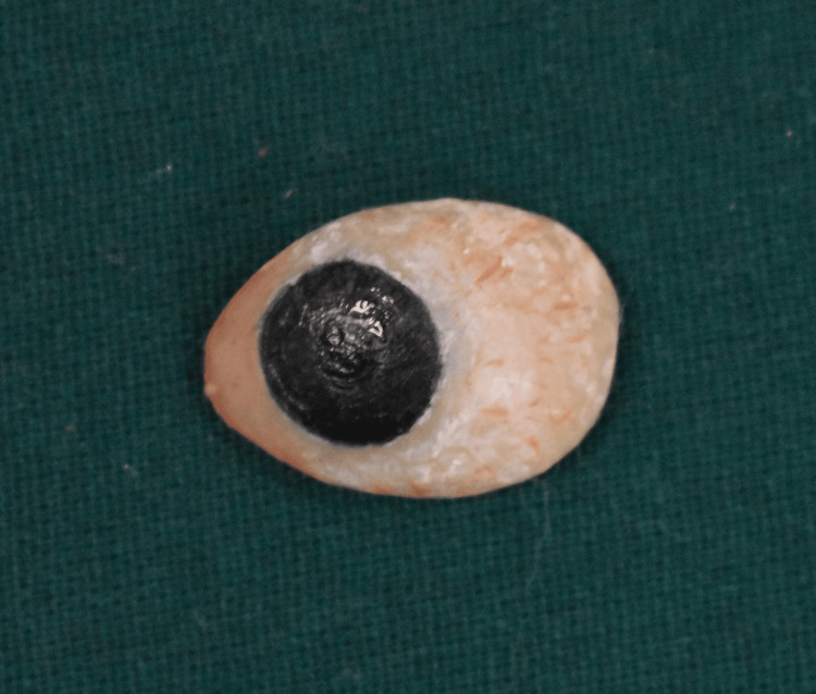 Figure 10