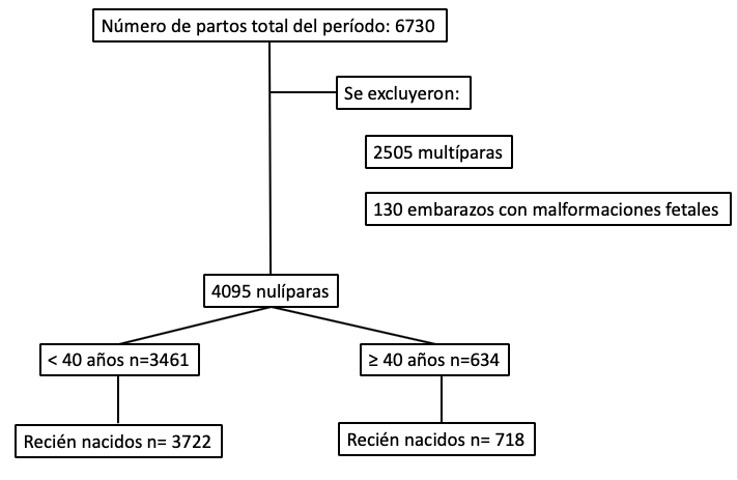 Figura Nº 1