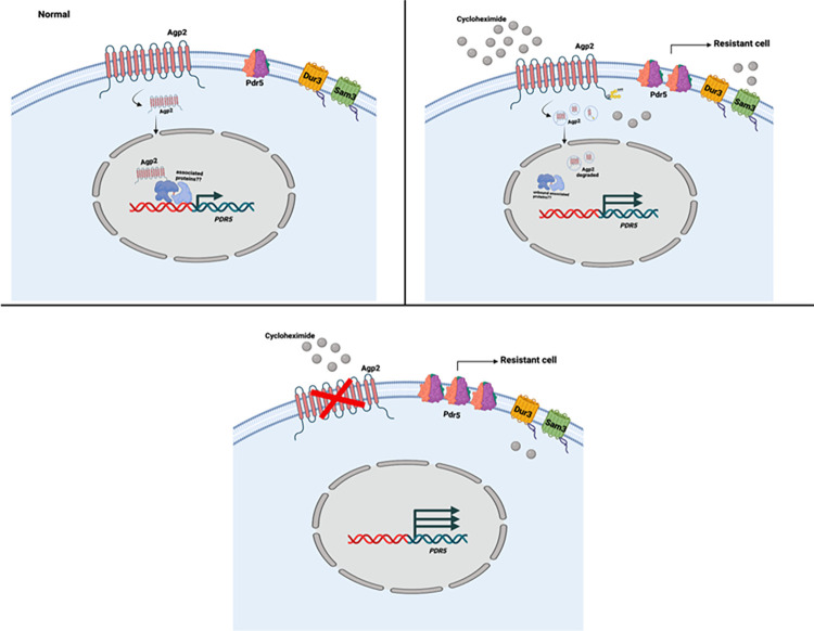 Fig 10