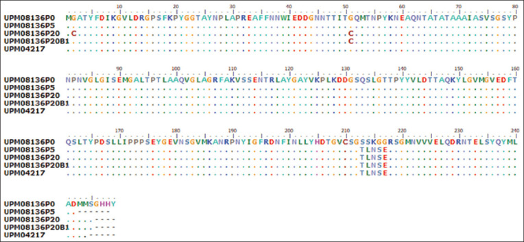 Figure-4