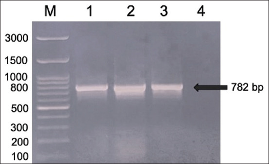 Figure-1