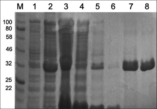 Figure-4
