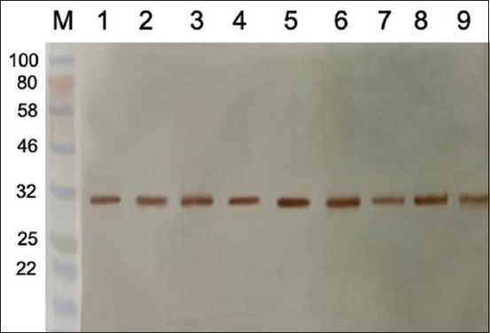 Figure-9
