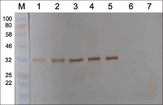 Figure-10