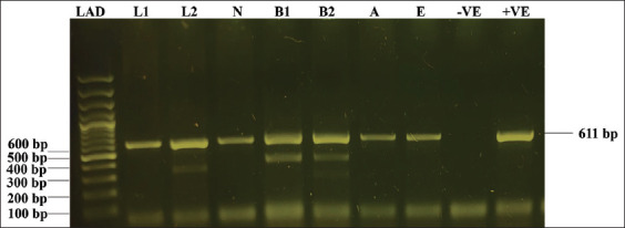 Figure-4