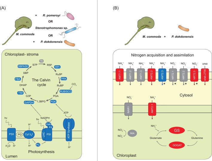 FIGURE 3