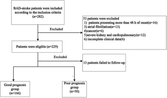 FIGURE 1