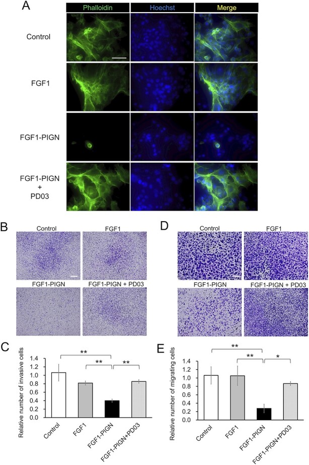 Fig. 4