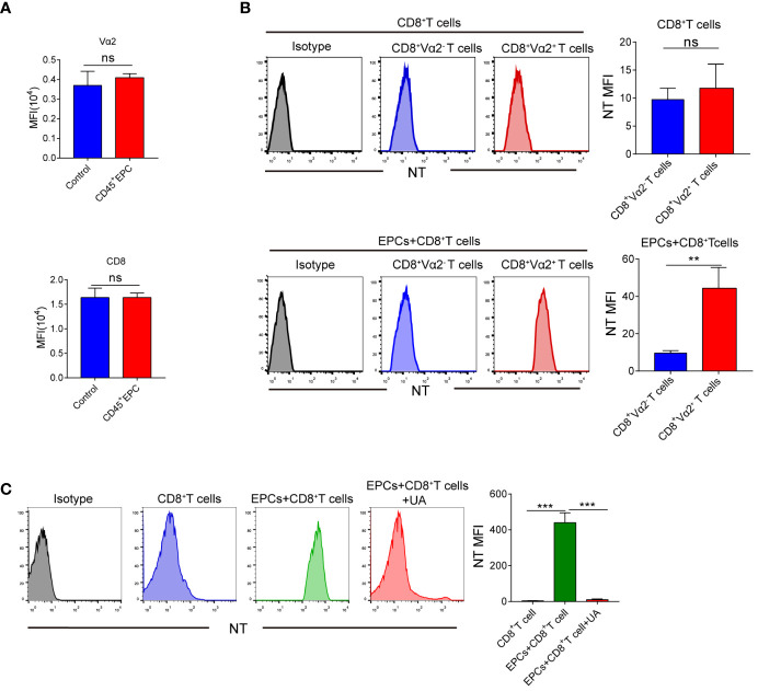 Figure 6