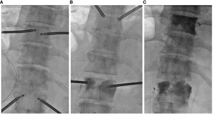 Figure 3