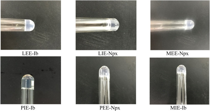 FIGURE 12