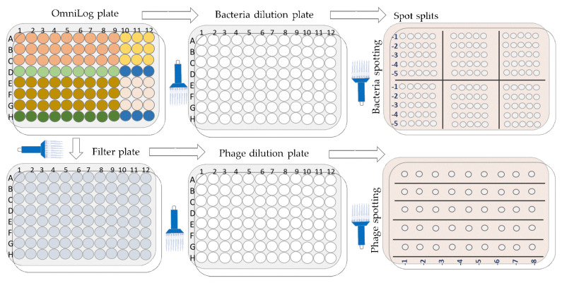 Figure 18