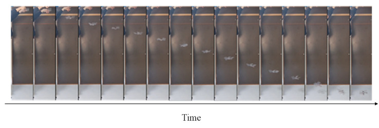 Figure 17