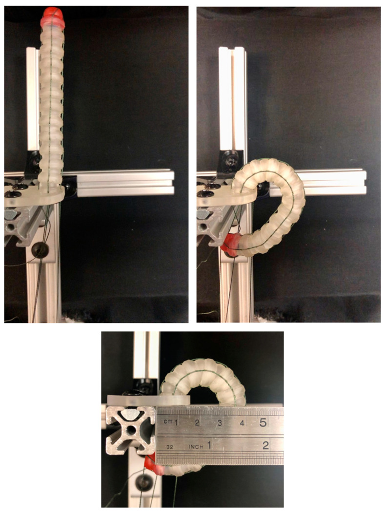 Figure 17