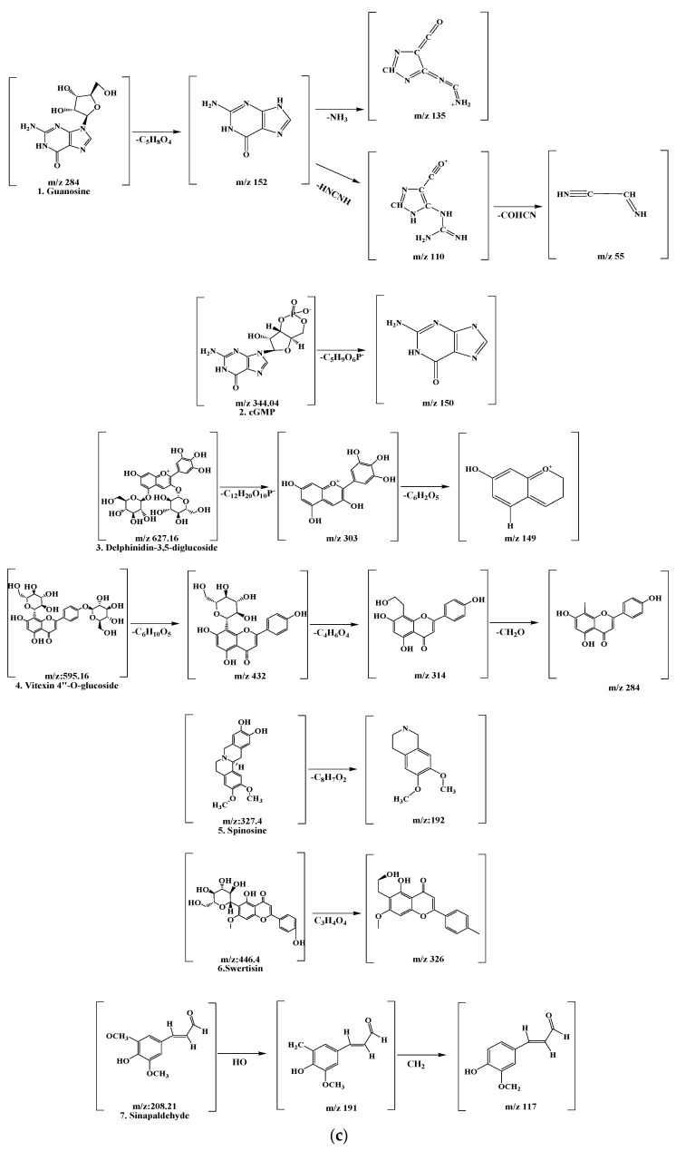 Figure 13