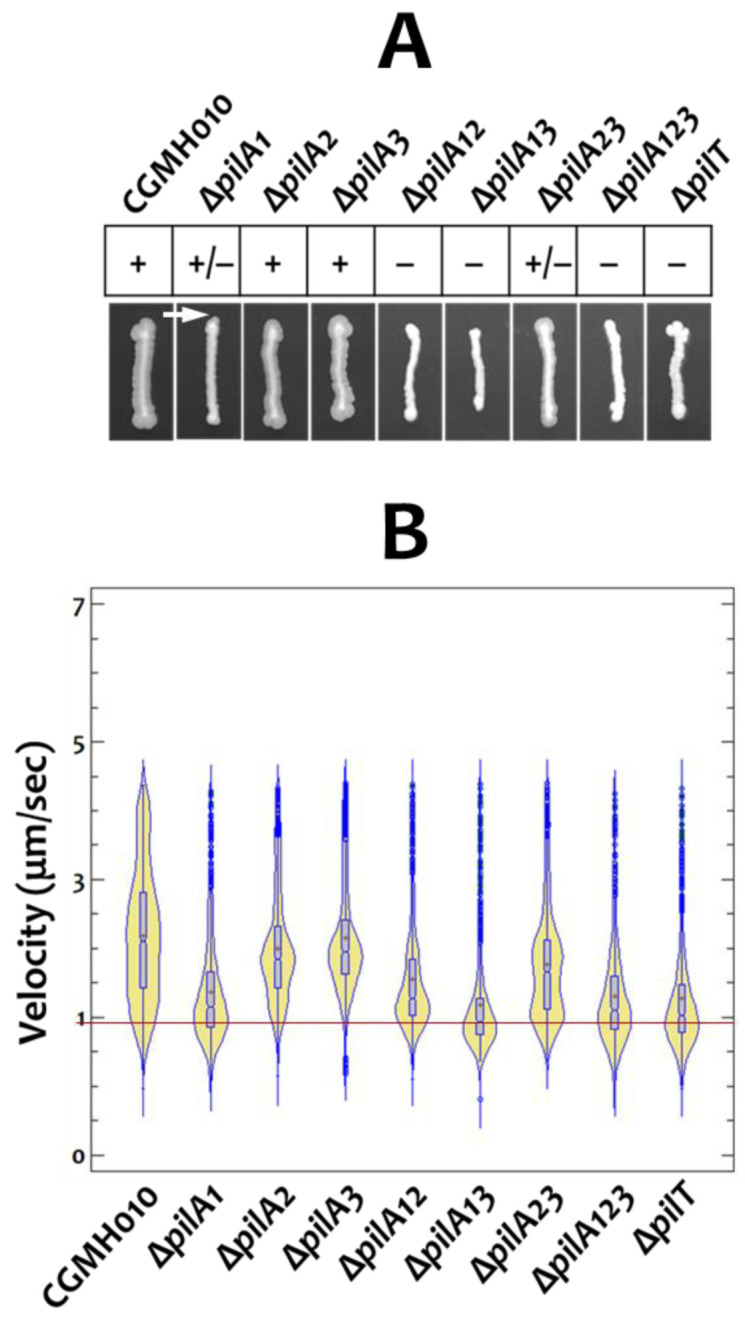 Figure 4