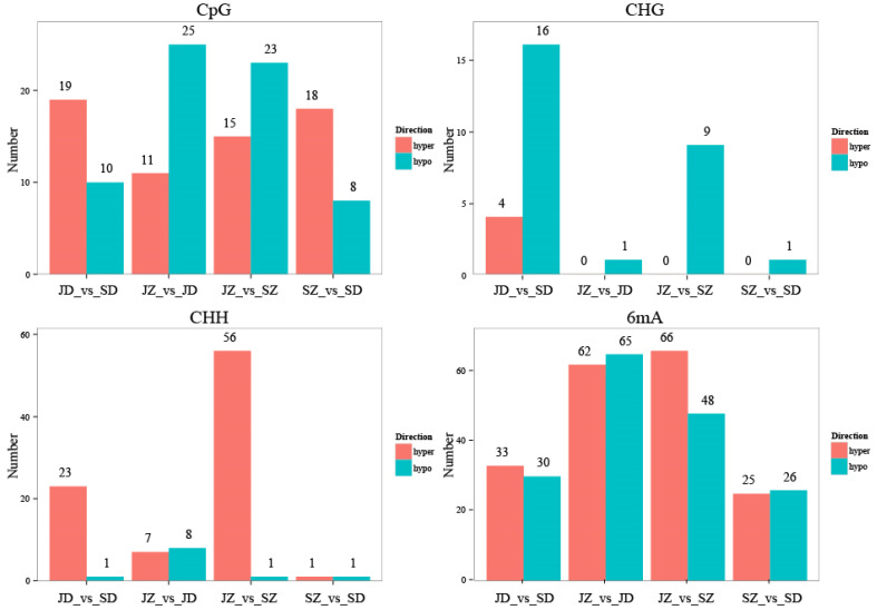 Figure 6