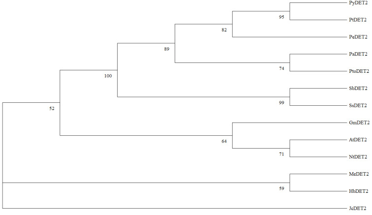 Figure 11