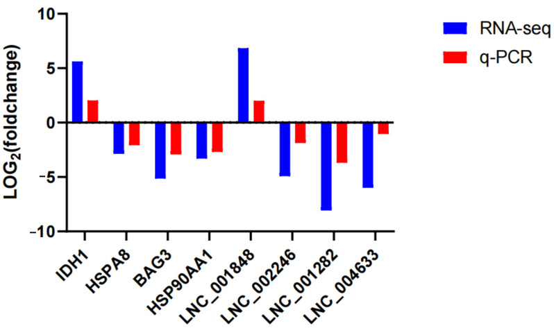Figure 7