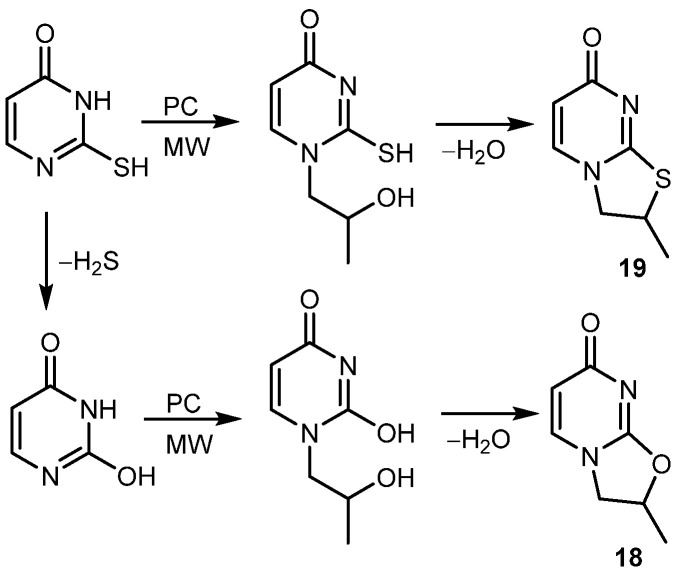 Figure 24