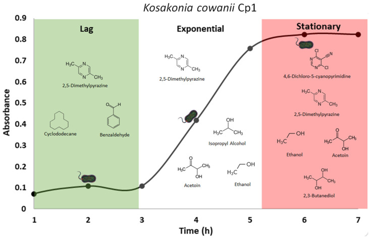 Figure 11