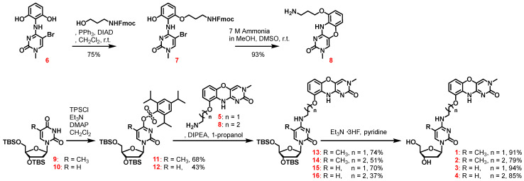 Figure 4