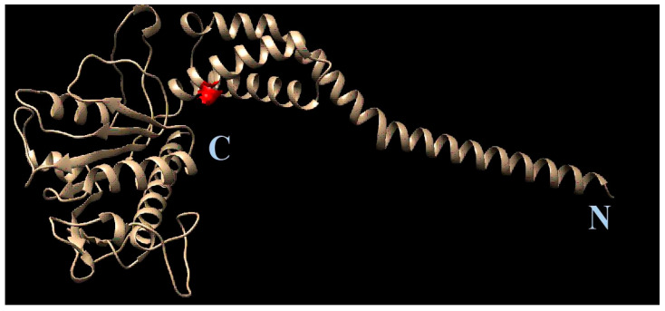 Figure 9