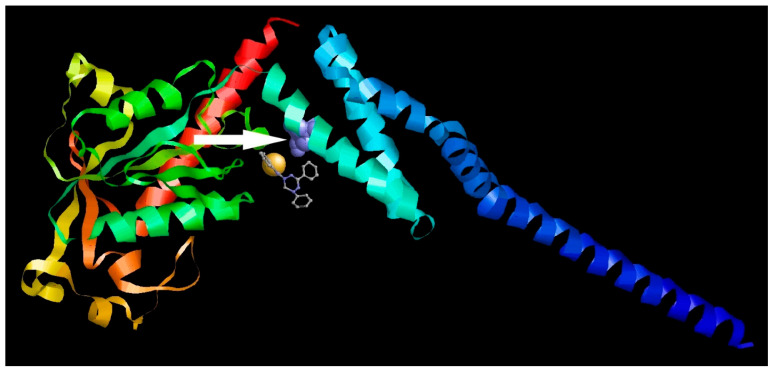 Figure 10