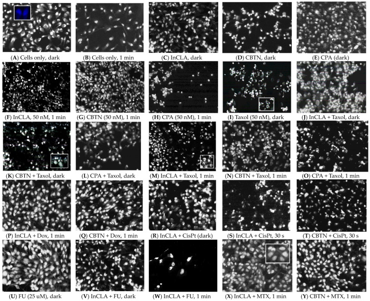 Figure 19
