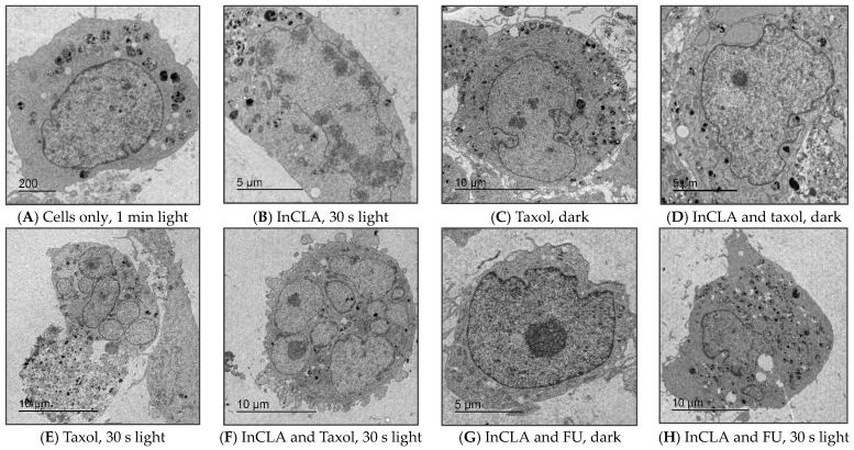 Figure 20
