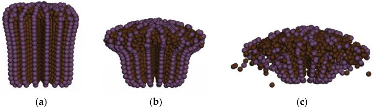 Figure 28