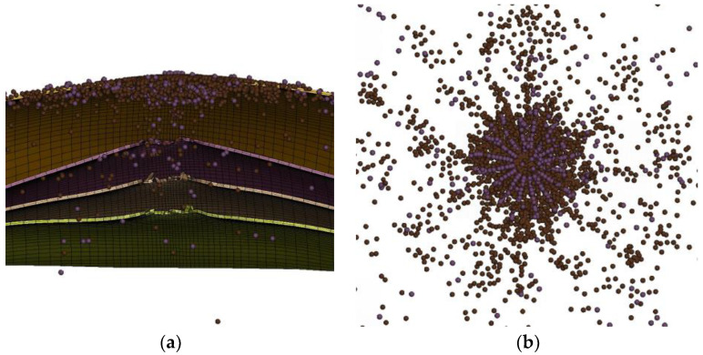 Figure 29