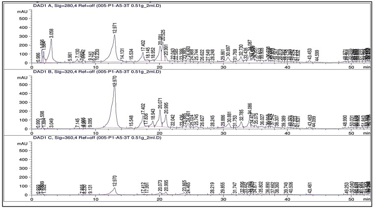 Figure 13
