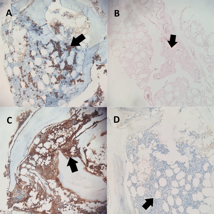 Figure 10