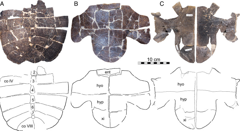 Figure 12