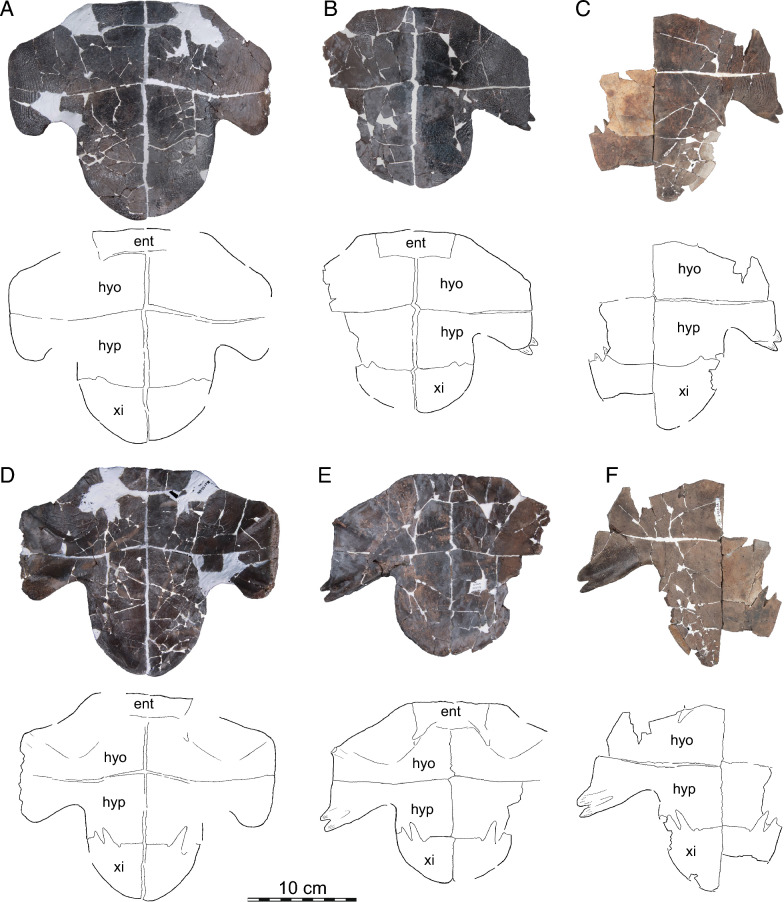 Figure 13
